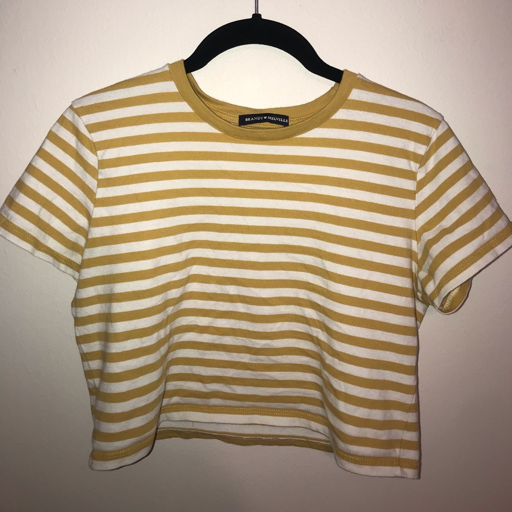 Brandy Melville crop top!